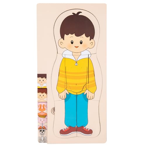 Nybhyjka Kinder Anatomiespielzeug, Körperteile Puzzle - Anatomie-Puzzle für Kinder 3-5 - Bildung Interaktives detailliertes Spiel Set Toys for STEM Education Science Science Fair Lab Studie von Nybhyjka