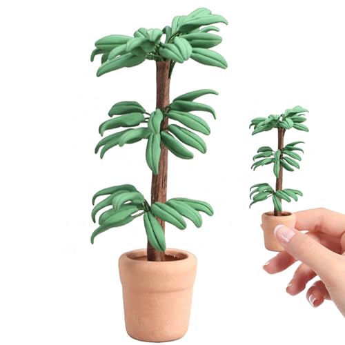 Nyutcwe 1 12 Skala Dollhouse Accessoires, Mini Dollhouse Accessoires Brazilian Fortune Tree, DIY Miniatur für Dekoration, Geschenk für Liebhaber 1 12 Skala Dollho Nyutcwe 1 12 Skala Dollhouse Accessoires, Mini Dollhouse Accessoires Brazilian Fortune Tree, DIY Miniatur für Dekoration, Geschenk für Liebhaber 1 12 Skala Dollho von Nyutcwe