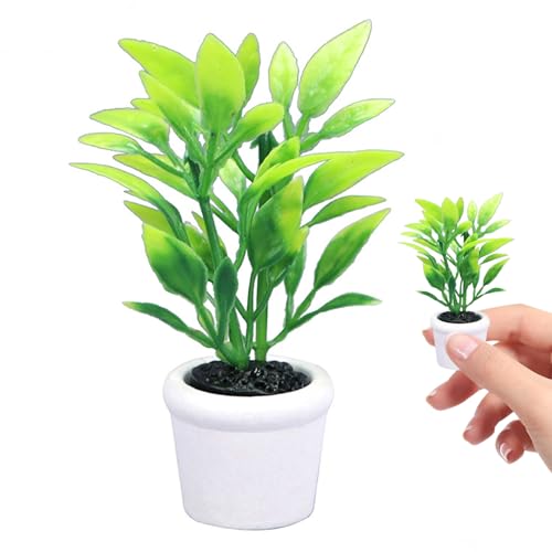 Nyutcwe 1 12 Skala Dollhouse -Zubehör, Plastik Mini -Puppenhauszubehör Topfpflanze, DIY -Miniatur zur Dekoration, Geschenk für Liebhaber 1 12 Skala Dollhous von Nyutcwe