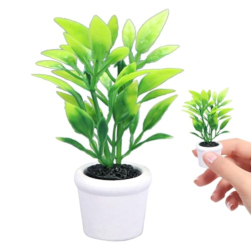 Nyutcwe 1 12 Skala Dollhouse -Zubehör, Plastik Mini -Puppenhauszubehör Topfpflanze, DIY -Miniatur zur Dekoration, Geschenk für Liebhaber 1 12 Skala Dollhous von Nyutcwe
