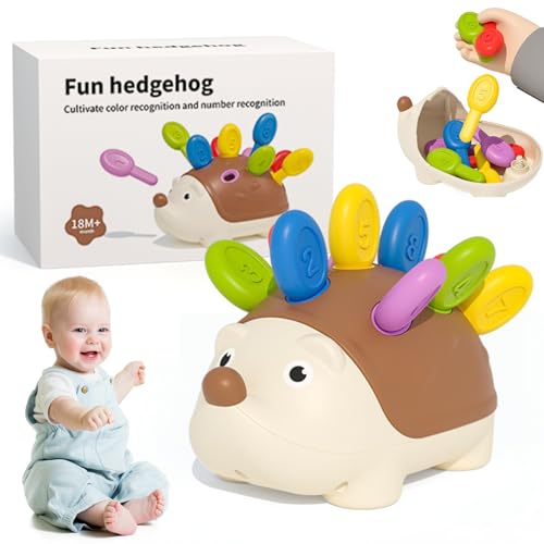 Nyutcwe Farbsortierspielzeug für Kleinkinder 1-3 mit Zahlen Hedgehog-förmiges Sortierspielzeug pädagogischer Feinmotor-Sensorium mit innerer Aufbewahrung, Geschenke für Kinder Nyutcwe Farbsortierspielzeug für Kleinkinder 1-3 mit Zahlen Hedgehog-förmiges Sortierspielzeug pädagogischer Feinmotor-Sensorium mit innerer Aufbewahrung, Geschenke für Kinder von Nyutcwe