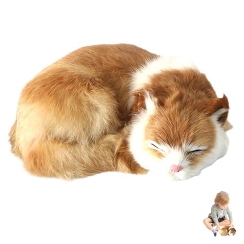 Nyutcwe Orangefarbene Katze Stofftiere, 8, 3x6.7x2, 4 Zoll realistische Stoffkatze, süßes Orangenplüschspielzeug, falsche für Kinder Geschenke Wohnkultur Nyutcwe Orangefarbene Katze Stofftiere, 8, 3x6.7x2, 4 Zoll realistische Stoffkatze, süßes Orangenplüschspielzeug, falsche für Kinder Geschenke Wohnkultur von Nyutcwe