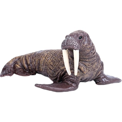 Nyutcwe Sea Animal Toys, realistische Walross -Tierfiguren tun Spielspielzeug, kreative Meereskreaturen Spielzeug, Lern- und Bildungsspielzeuggeschenk für Kinder Kinder Nyutcwe Sea Animal Toys, realistische Walross -Tierfiguren tun Spielspielzeug, kreative Meereskreaturen Spielzeug, Lern- und Bildungsspielzeuggeschenk für Kinder Kinder von Nyutcwe