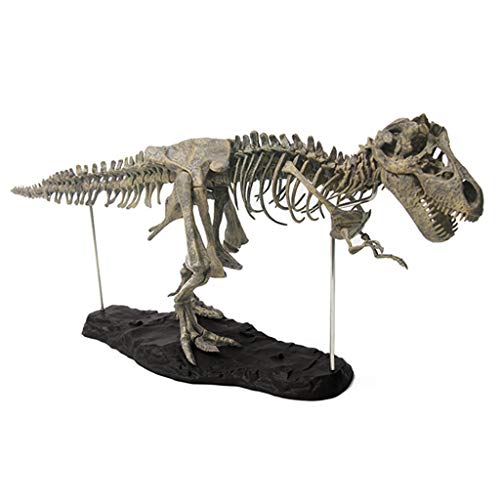 OAJABBGE 27 ’Simulation Dinosaurier Skelett Figur PVC Model Collector Tyrannosaurus Dino Interactive Automobile Home Dekoration OAJABBGE 27 ’Simulation Dinosaurier Skelett Figur PVC Model Collector Tyrannosaurus Dino Interactive Automobile Home Dekoration von OAJABBGE