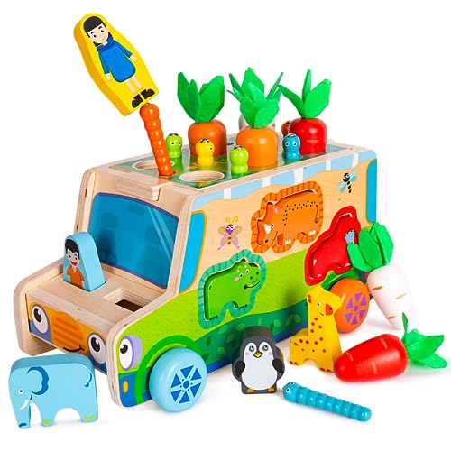 OAKJAR Montessori Spielzeug ab 1 2 3 Jahre | Holzspielzeug Karottenernte | Motorikspielzeug Angeln Spielzeugauto für Mädchen und Jungen | Holzpuzzle Sortier&Stapelspielzeug von OAKJAR