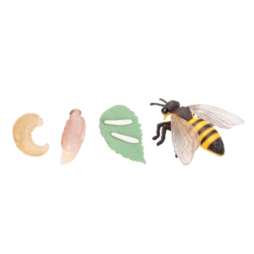 OATIPHO 1 Satz Lebensphasenmodell Kinderspielzeug Bienen Dekorationen Miniaturtiere Tiermodell Fehlerfänger Lernspielzeug Für Kinder Biene Spielzeug Plastiktiere Marienkäfer Abs Ornamente von OATIPHO