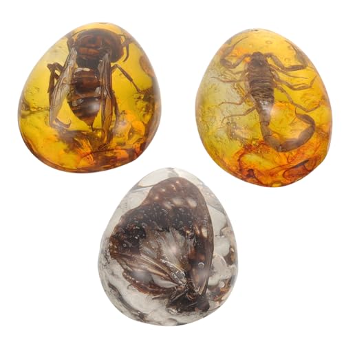 OATIPHO 3pcs Echtes Insekt Bernstein Probe Insekt Spielzeug Handwerk Lebensechte Design von OATIPHO
