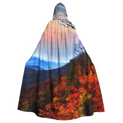 OAZCVBNN Blue Ridge Mountains Print Halloween Kapuzenumhang volle Länge Erwachsene Kinder Unisex Mittelalter Cosplay Kostüm von OAZCVBNN