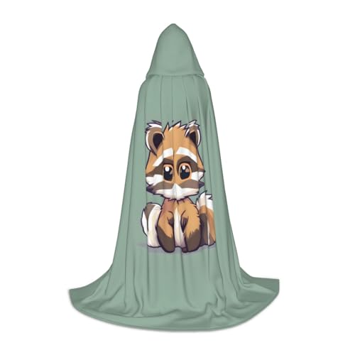 OAZCVBNN Cartoon Niedliche Waschbär Wäsche Print Zauberer Bademantel Halloween und Karneval Party Mantel mit Kapuze für Männer Frauen Teenager Kinder von OAZCVBNN