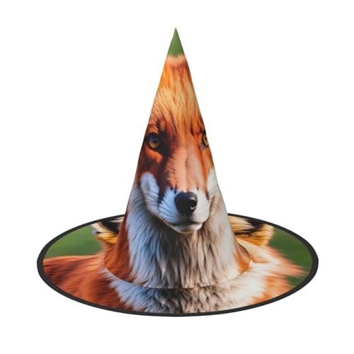 OAZCVBNN Fuchs Druck Unisex Halloween Hexenhut für Karneval Cosplay Faltbare Kappe und Mottopartys von OAZCVBNN