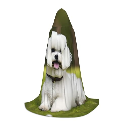 OAZCVBNN Nette Bichon Frise Hund Druck Magier Rock Halloween und Karneval Feste Mantel mit Kapuze für Männer Frauen Jugendliche Kinder, schwarzes, S OAZCVBNN Nette Bichon Frise Hund Druck Magier Rock Halloween und Karneval Feste Mantel mit Kapuze für Männer Frauen Jugendliche Kinder, schwarzes, S von OAZCVBNN