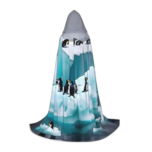 Pinguine Auf Der Eisberg Druck Assistent Robe Halloween Und Karneval Partys Mit Kapuze Mantel Für Männer Frauen Jugendliche Kinder, blacks, S von OAZCVBNN