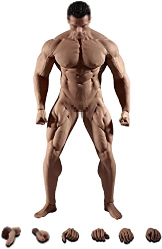 OBEST 1/6 Gliederpuppen Zeichenpuppe Modellpuppe Körper Figur Männlich 12 Zoll Super Flexible Nahtlose PL2018-M35 28 cm Mit Metall Skelett (Nicht enthalten Kopf Sculpt) von OBEST