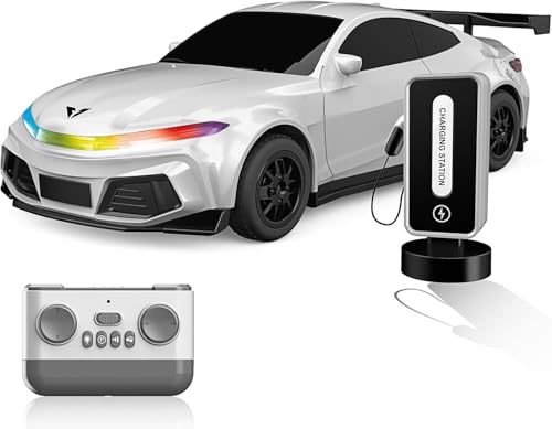 OBEST Ferngesteuertes Auto für Kinder und Erwachsene, 1:16 High Speed Rodeo Spielzeugauto mit Ladestation und automatischer Parkfunktion, beliebtes Geschenk für Jungen und Mädchen von OBEST