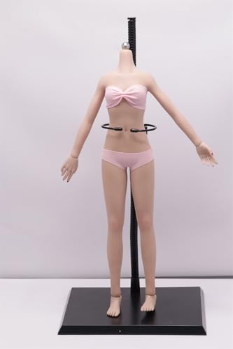 OBEST Puppe im Maßstab 1/6, Ohne Kopf, 25.5 cm Mädchenpuppe, Flexible Gelenke, Weizenfarbene Haut, Abnehmbare Hände und Füße für Rollenspiel und Dekoration (BS01) von OBEST
