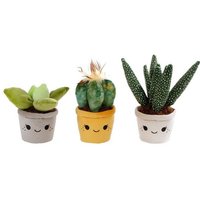 Display Plüsch Pflanzen 12 Stück/ 3-fach sort., 12-17 cm von OBILO