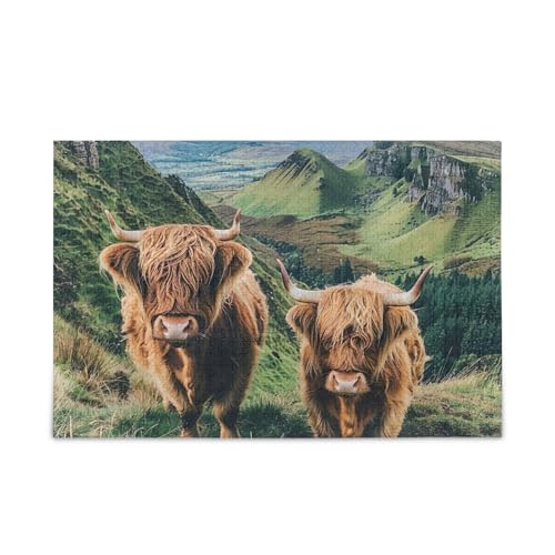 1000 Teile Puzzle Niedliche Hochlandkühe DIY Geschenk Puzzle mit Netz-Aufbewahrungstasche Lustig von ODAWA