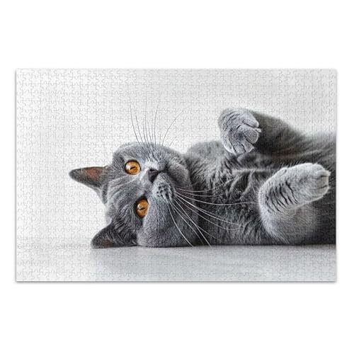 500-teiliges Puzzle, graue Katze, niedliches Kätzchen-Puzzle, Spiel, Wandkunstwerk für Erwachsene, Teenager, 52,1 x 37,8 cm (L x B) von ODAWA
