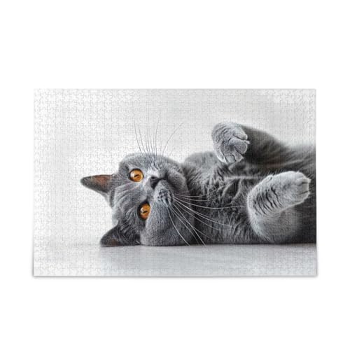 Graue Katze, süßes Kätzchen-Puzzle, 500-teiliges Puzzle, herausforderndes Puzzle-Spiel, Spaß, Familienaktivität Graue Katze, süßes Kätzchen-Puzzle, 500-teiliges Puzzle, herausforderndes Puzzle-Spiel, Spaß, Familienaktivität von ODAWA