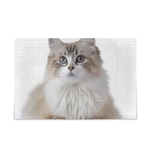 Haustier Druck Langhaarige Katze Puzzle 500 Teile Puzzle DIY Geschenk Jigsaw Puzzles mit Mesh Aufbewahrungstasche für Erwachsene Familien von ODAWA