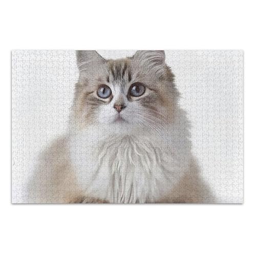 Puzzle mit 500 Teilen, Tierdruck, langhaarige Katze, Pädagogisches und Lernen, 52,1 cm L x 37,8 cm B Puzzle mit 500 Teilen, Tierdruck, langhaarige Katze, Pädagogisches und Lernen, 52,1 cm L x 37,8 cm B von ODAWA