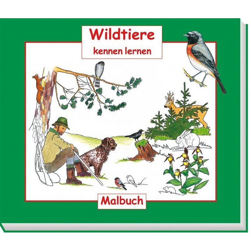 Wildtiere kennen lernen, Malbuch von Österreichischer Jagd- und Fischerei-Verlag