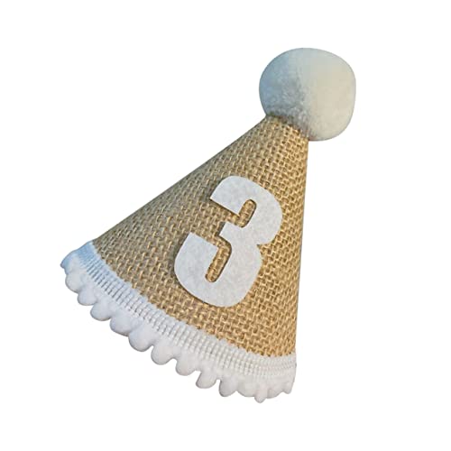 OFFIGAM 1 PC Geburtstagspartyhut Geburtstagshut Jungen Konische Hüte Quaste Kopfbedeckung Wiggles Mädchen Erster Geburtstag Dekorationen Hut Böhmische Natürlich 1 Bday Khaki Leinen OFFIGAM 1 PC Geburtstagspartyhut Geburtstagshut Jungen Konische Hüte Quaste Kopfbedeckung Wiggles Mädchen Erster Geburtstag Dekorationen Hut Böhmische Natürlich 1 Bday Khaki Leinen von OFFIGAM