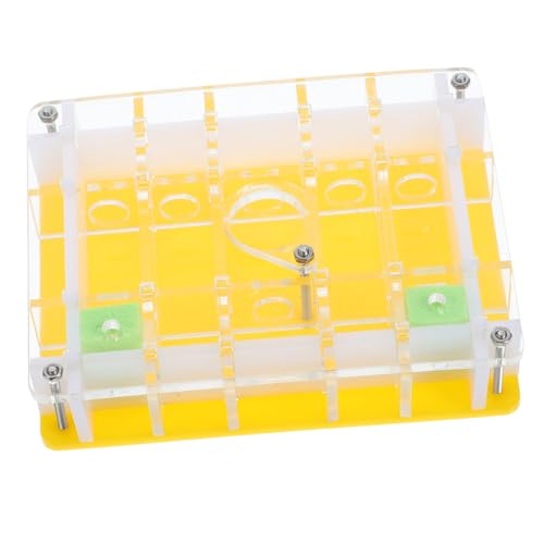 OFFIGAM Beobachtungsbox aus Acryl für Kinder Transparent Leicht für Wissenschaftliche Experimente Ameisenzuchtkasten OFFIGAM Beobachtungsbox aus Acryl für Kinder Transparent Leicht für Wissenschaftliche Experimente Ameisenzuchtkasten von OFFIGAM