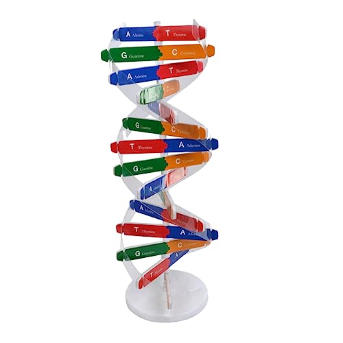 OFFIGAM 1 Satz DNA Modellbausatz für Wissenschaftliches Lernspielzeug Selbstmontage Doppelhelix Struktur Fördert Konzentration und Kreativität für Schule und Experimente Zufällige Farbe OFFIGAM 1 Satz DNA Modellbausatz für Wissenschaftliches Lernspielzeug Selbstmontage Doppelhelix Struktur Fördert Konzentration und Kreativität für Schule und Experimente Zufällige Farbe von OFFIGAM