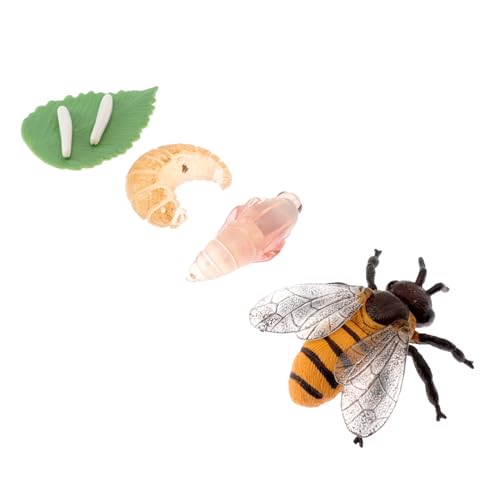 OFFIGAM 1 Satz Kreislaufmodell Miniatur Lebensechte Figurinen für und Interaktionstool für Eltern Junge Mädchen Spiel für Rollenspiele und Naturerkundung OFFIGAM 1 Satz Kreislaufmodell Miniatur Lebensechte Figurinen für und Interaktionstool für Eltern Junge Mädchen Spiel für Rollenspiele und Naturerkundung von OFFIGAM
