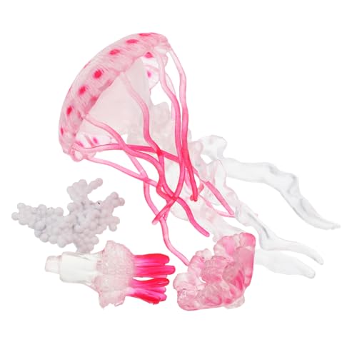 OFFIGAM 1 Satz Wasserwesen Lernspielzeug Wassermelonen Jellyfish Lebenszyklus Figur für Kognitive Entwicklung und Aquarium Dekoration OFFIGAM 1 Satz Wasserwesen Lernspielzeug Wassermelonen Jellyfish Lebenszyklus Figur für Kognitive Entwicklung und Aquarium Dekoration von OFFIGAM