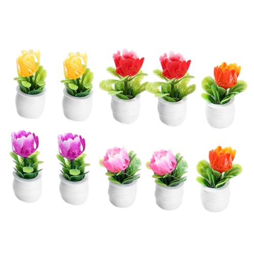 OFFIGAM 10 Stück Miniatur-topfpflanzen- Winziger Künstlicher Bonsai Für Die Innendekoration Miniatur- Für Die Landschaft OFFIGAM 10 Stück Miniatur-topfpflanzen- Winziger Künstlicher Bonsai Für Die Innendekoration Miniatur- Für Die Landschaft von OFFIGAM