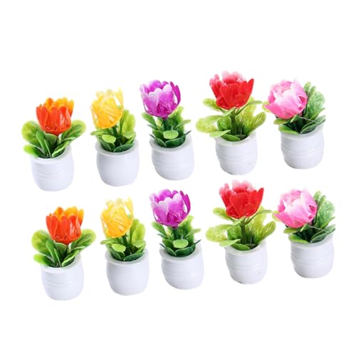 OFFIGAM 10 Stück Teiliges Miniatur Pflanzenmodell Puppenhaus Deko Mini Bonsai Topfpflanzen für Mini Garten Zen Garten Dekoration Zubehör OFFIGAM 10 Stück Teiliges Miniatur Pflanzenmodell Puppenhaus Deko Mini Bonsai Topfpflanzen für Mini Garten Zen Garten Dekoration Zubehör von OFFIGAM