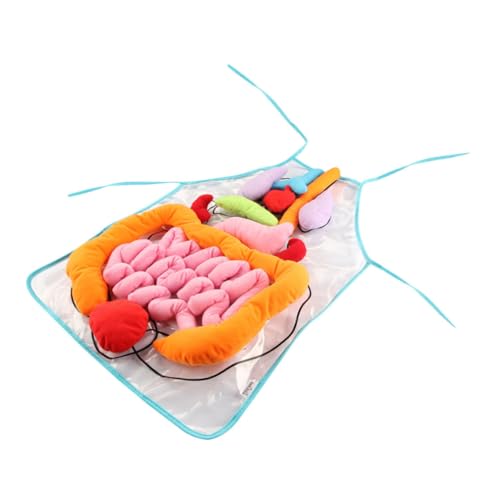OFFIGAM 1Satz Körperorgane Schürze für Anatomisches Lernspielzeug Kognitiven Entwicklung Herz Lunge Magen und Mehr für Frühkindliche Bildung OFFIGAM 1Satz Körperorgane Schürze für Anatomisches Lernspielzeug Kognitiven Entwicklung Herz Lunge Magen und Mehr für Frühkindliche Bildung von OFFIGAM