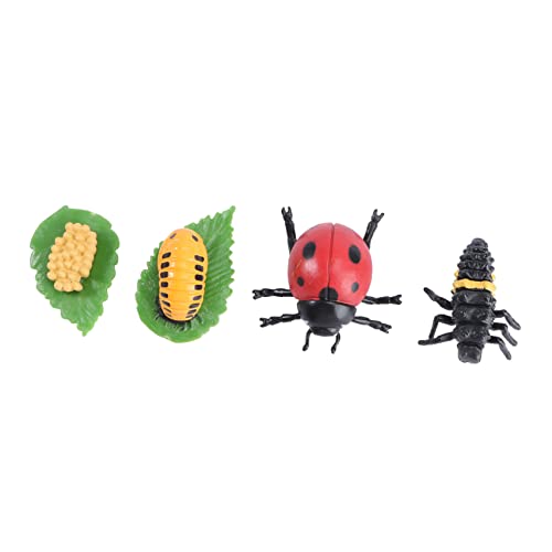 OFFIGAM 1Satz Teiliges Insekten Evolution Modell für Partydekoration Pädagogisch Rollenspiele und Kreative Aktivitäten OFFIGAM 1Satz Teiliges Insekten Evolution Modell für Partydekoration Pädagogisch Rollenspiele und Kreative Aktivitäten von OFFIGAM