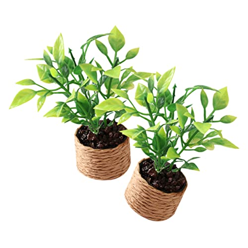 OFFIGAM Mini-Pflanze Miniatur-topfspielzeug Für Die Heimdekoration 2er-Pack von OFFIGAM
