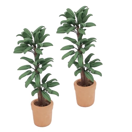 OFFIGAM 2 Stück Miniatur Pflanzen Teiliges Bonsai Zubehör für Puppenhaus Realistische Deko für Dollhouses Accessoires für Kreative Spielszenen Aus Hochwertigem Detailreichem Harz Gefertigt OFFIGAM 2 Stück Miniatur Pflanzen Teiliges Bonsai Zubehör für Puppenhaus Realistische Deko für Dollhouses Accessoires für Kreative Spielszenen Aus Hochwertigem Detailreichem Harz Gefertigt von OFFIGAM