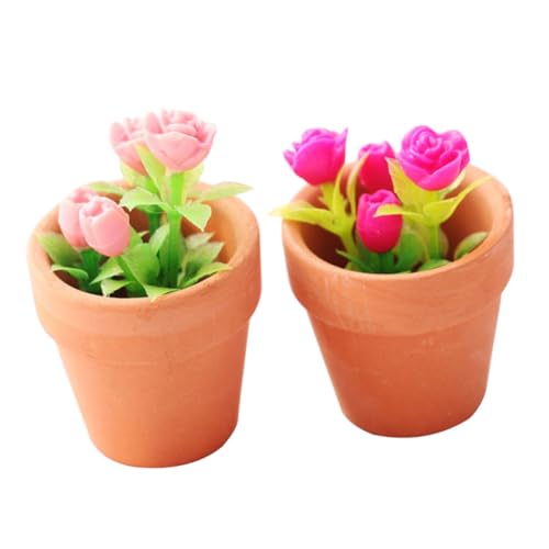 OFFIGAM 2 Stück Miniatur-Topfpflanzen Dekorationen klein eingetopft drinnen Ornamente mini blumentöpfe minitöpfe Miniature Flower Pot Miniature Model Topfspielzeug Mini- Keramik OFFIGAM 2 Stück Miniatur-Topfpflanzen Dekorationen klein eingetopft drinnen Ornamente mini blumentöpfe minitöpfe Miniature Flower Pot Miniature Model Topfspielzeug Mini- Keramik von OFFIGAM
