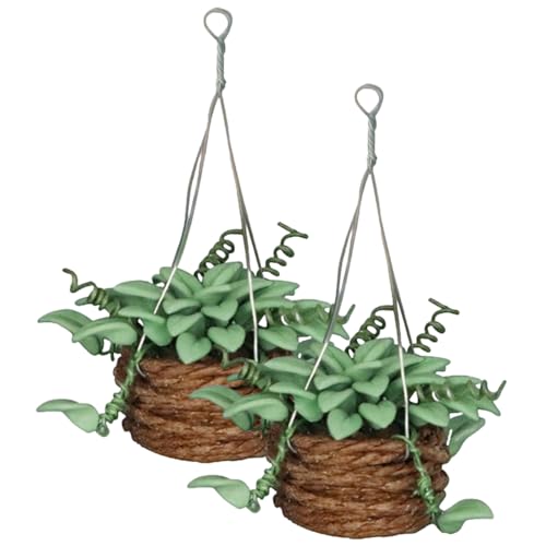OFFIGAM 2 Stück Puppenhaus Topfpflanze Miniatur Blumentopf Zimmerpflanze Hängende Blumentöpfe Mini Bonsai Topf Mini Bonsai Künstliche Pflanzen Zimmerpflanzen Zimmerpflanzen OFFIGAM 2 Stück Puppenhaus Topfpflanze Miniatur Blumentopf Zimmerpflanze Hängende Blumentöpfe Mini Bonsai Topf Mini Bonsai Künstliche Pflanzen Zimmerpflanzen Zimmerpflanzen von OFFIGAM