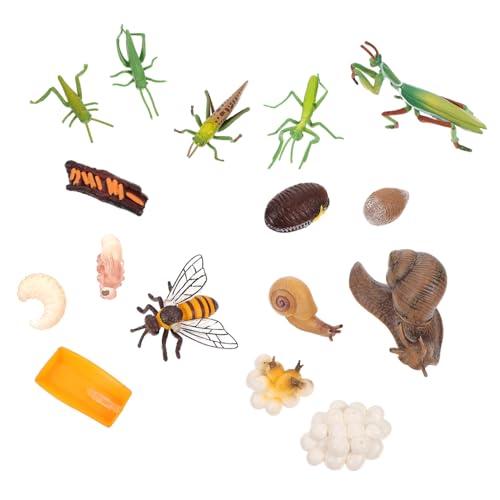 OFFIGAM 4sätze Insektenmodell Spielzeug Teiliges Simulation-insektenwachstumszyklus Modell Für Kinderzimmer Dekoration Pädagogisches Spielzeug Für Insektenforschung Und Kreatives OFFIGAM 4sätze Insektenmodell Spielzeug Teiliges Simulation-insektenwachstumszyklus Modell Für Kinderzimmer Dekoration Pädagogisches Spielzeug Für Insektenforschung Und Kreatives von OFFIGAM