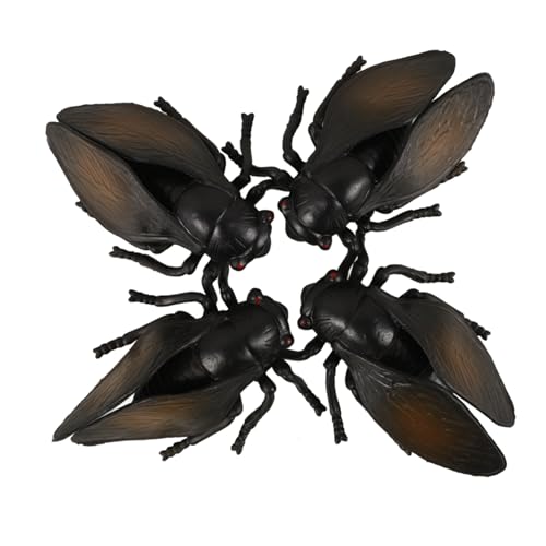 OFFIGAM 4 Stück Teiliges Realistische Simulation von Zikaden Modellen Lebensechte Insektenfiguren für Kinderzimmer Garten Dekoration und Lernspielzeug von OFFIGAM