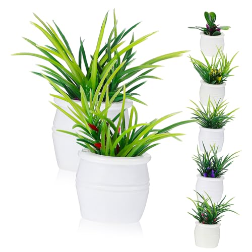 OFFIGAM 7 Stück Mini Garten Topfpflanzen Zimmerpflanze Mini Pflanzen Für Miniatur Sukkulenten Puppenhaus Puppentöpfe Bonsai Puppenhäuser Grünes Puppen Miniaturen Mini von OFFIGAM