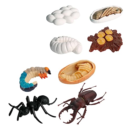 OFFIGAM 8 Stück Teiliges Lebenszyklus von Ameisen Modellfiguren Pädagogisches für Kognitiven Fähigkeiten und Biologischem Verständnis OFFIGAM 8 Stück Teiliges Lebenszyklus von Ameisen Modellfiguren Pädagogisches für Kognitiven Fähigkeiten und Biologischem Verständnis von OFFIGAM