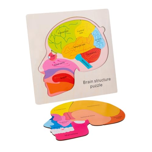 OFFIGAM Holzpuzzle für Lernspielzeug Gehirnstruktur und Kognitiven Fähigkeiten Montessori Geeignet mit Ansprechendem Design und Vielseitigen Spielmöglichkeiten von OFFIGAM