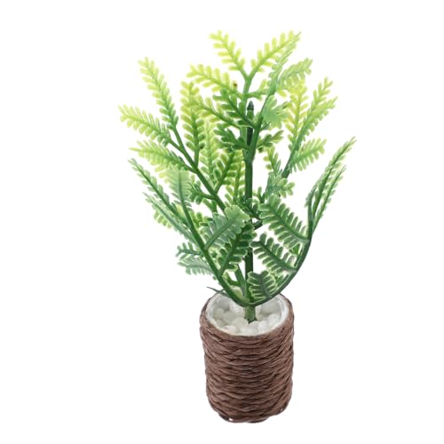 OFFIGAM Miniatur Bonsai Kunstpflanze für Puppenhaus Winzige Pottpflanze Dekorativ und Pflegeleicht für DIY Mikrolandschaften Fotodekoration OFFIGAM Miniatur Bonsai Kunstpflanze für Puppenhaus Winzige Pottpflanze Dekorativ und Pflegeleicht für DIY Mikrolandschaften Fotodekoration von OFFIGAM