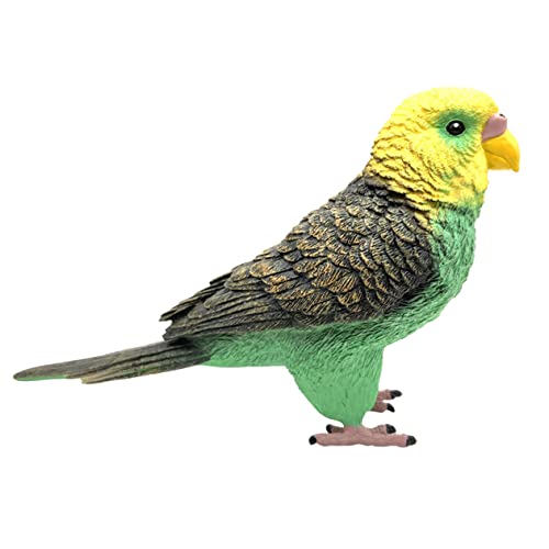 OFFIGAM Wellensittich Modell Kunststoff Papagei Ornament für Kinder Simulationsspielzeug mit Naturgetreuen Details Bunt und Langlebig für Vogelspielzeug und Dekoration OFFIGAM Wellensittich Modell Kunststoff Papagei Ornament für Kinder Simulationsspielzeug mit Naturgetreuen Details Bunt und Langlebig für Vogelspielzeug und Dekoration von OFFIGAM