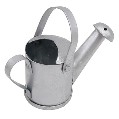 OFFIGAM Puppenhaus-mini-zubehör Puppenhaus-gartendose Mini-gießkanne Kleine Gießkannen Drinnen Miniatur Kleine Bewässerung Kann Mini-Puppen Puppenhaus-gartenzubehör Silber Metall OFFIGAM Puppenhaus-mini-zubehör Puppenhaus-gartendose Mini-gießkanne Kleine Gießkannen Drinnen Miniatur Kleine Bewässerung Kann Mini-Puppen Puppenhaus-gartenzubehör Silber Metall von OFFIGAM