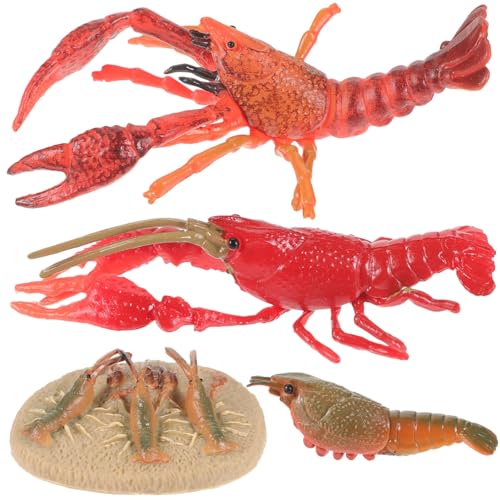 OFFIGAM Realistische Hummer Wachstumsmodelle für Lernspielzeug Biologischen und Frühen Bildung für Experimente und Wissenschaftserziehung OFFIGAM Realistische Hummer Wachstumsmodelle für Lernspielzeug Biologischen und Frühen Bildung für Experimente und Wissenschaftserziehung von OFFIGAM