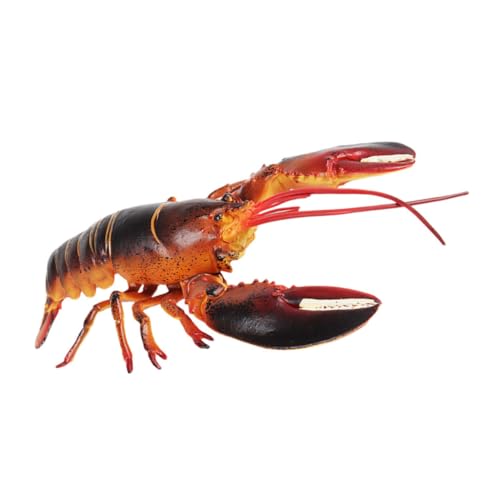 OFFIGAM Realistische Tierfiguren Dekorationen Für Aquarien Realistischer Hummer Meerestierfiguren Krabbelndes Babyspielzeug Fischtankdekor Gefälschte Krabbe Lebensechter Hummer Plastik von OFFIGAM