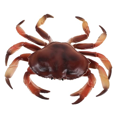 OFFIGAM Simulation Krabbenmodell Realistische Tierfigur Pädagogisches Spielzeug Für Dekorativer Krabbenfiguren Lebendigen Farben Für Lern Und Spielumgebungen OFFIGAM Simulation Krabbenmodell Realistische Tierfigur Pädagogisches Spielzeug Für Dekorativer Krabbenfiguren Lebendigen Farben Für Lern Und Spielumgebungen von OFFIGAM